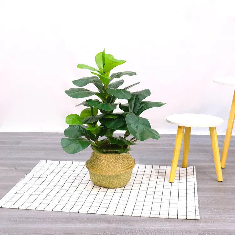 Bonsai Decorated With Fake Trees And Artificial Plants Zunara Fashions
