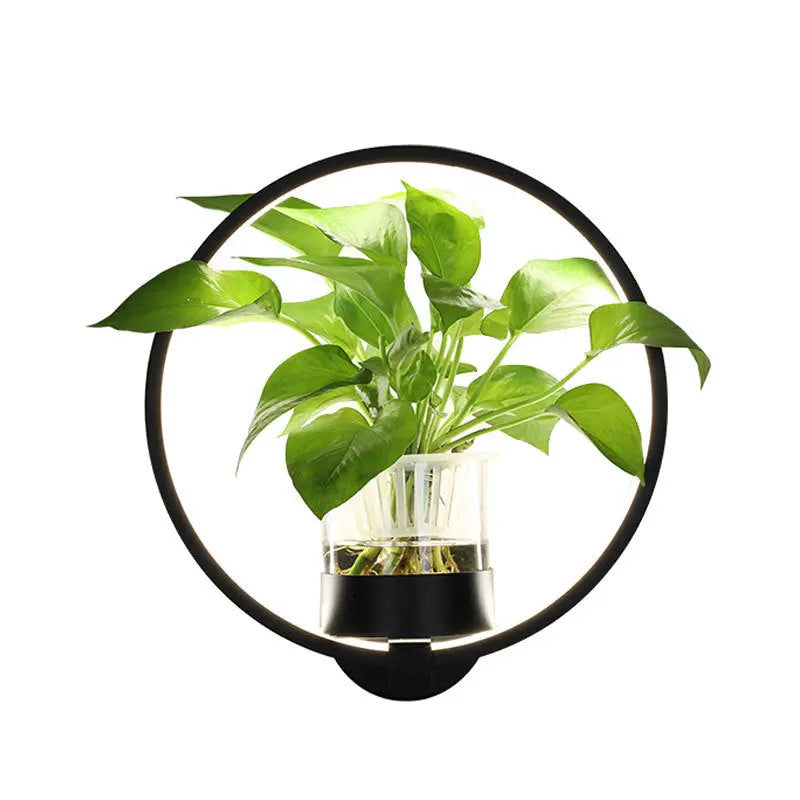 Decorative wall lamp on background wall Zunara Fashions
