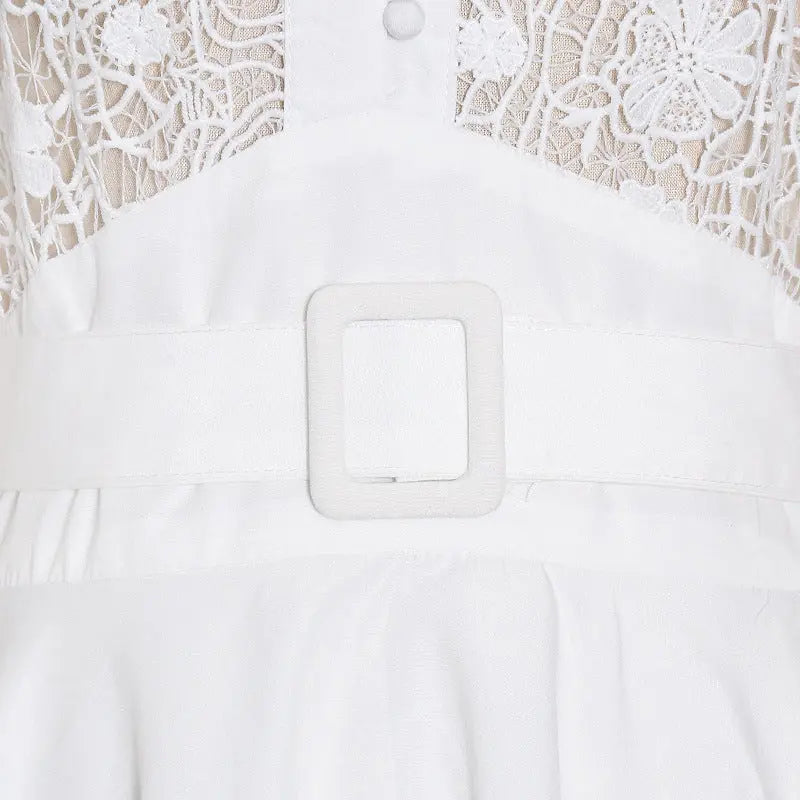 Fashion Temperament Stand Collar Lantern Sleeve Design Sexy Lace Perspective Short Dress Zunara Fashions
